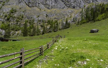 Landscape and mountain pasture at Obersee