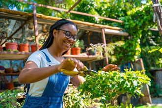 Black ethnic woman with braids and glasses is a gardener in the nursery in the greenhouse happy cutting the bonsai