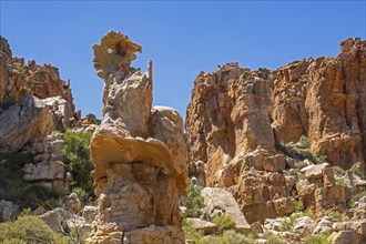 Sandstone rock formations at Truitjieskraal in the Matjiesrivier Nature Reserve