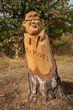 Wood carving on a tree trunk in the forest with inscription Michael