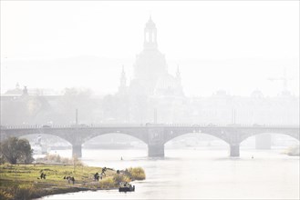 People on the Elbe meadows against the backdrop of Dresden's old town