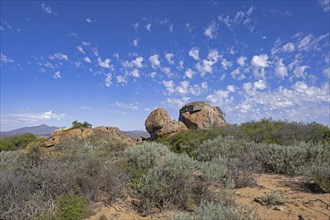 Semi-desert landscape in the Namaqua National Park