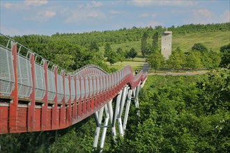 Dragon Tail Bridge and View of Observation Tower