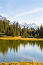 Alpine Lake with Snowcapped Mountain and Trees in San Bernardino in Switzerland