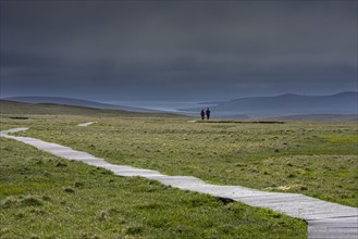 Birdwatchers walking over boardwalk in moorland