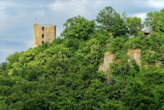 Neideck Castle Ruin
