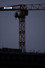 A worker draws on scaffolding and in front of a crane on a newly built house