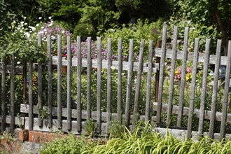 Wooden garden fence with garden and flowers
