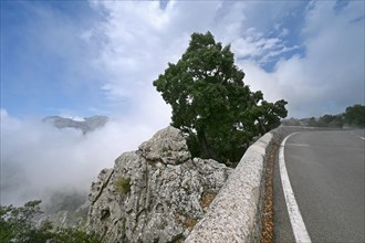 Low clouds on the Ma10 road in the Tramuntana mountains