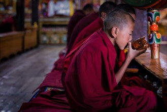 A young monk drinking tea during morning puja