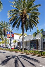 Rodeo Drive Luxury Shopping Street in Beverly Hills Los Angeles