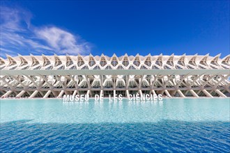 Ciutat de les Arts i les Ciencies with Science Museum modern architecture by Santiago Calatrava in Valencia