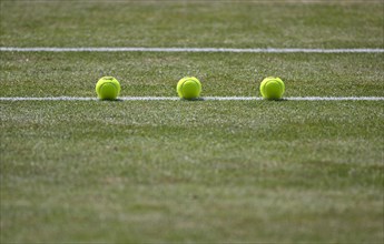 Three tennis balls lie on grass