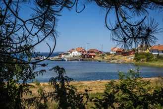 View of the settlement of Apelvik