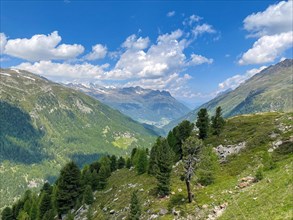 View of green mountain slope and green valley Oetztal in Oetztal Alps of Austria in height of tree line in summer summertime