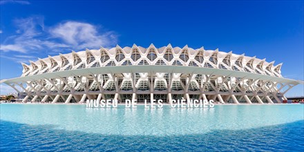 Ciutat de les Arts i les Ciencies with Science Museum modern architecture by Santiago Calatrava panorama in Valencia