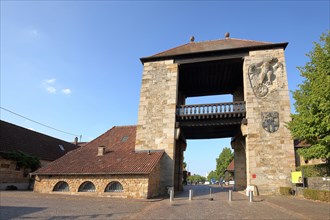 Landmark German Wine Gate