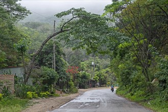 Touring cyclist with heavily laden bicycle cycling through subtropical forest in the Andes foothills