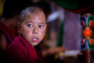 A young monk at Thikse Monastery