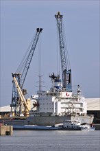 Freighter and inland vessel in dock at Ghent seaport