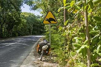 Touring bicycle and warning sign for turtles crossing the road on Basse-Terre Island