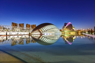 Ciutat de les Arts i les Ciencies modern architecture by Santiago Calatrava at night in Valencia