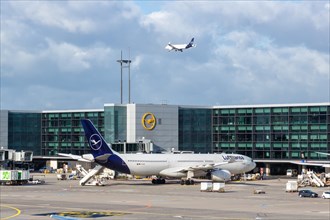 A Lufthansa Airbus A330-300 aircraft at Frankfurt Airport