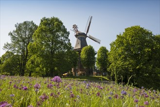 Windmill with colourful flowerbeds