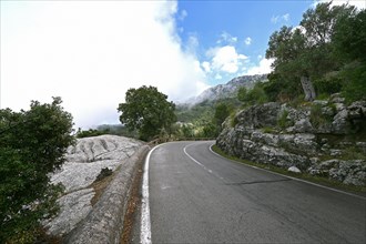 Low clouds on the Ma10 road in the Tramuntana mountains