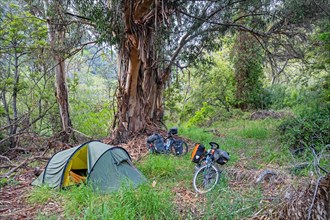 Touring cyclists wild camping with dome tent in Topanga State Park in the Santa Monica Mountains