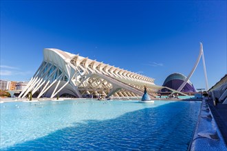 Ciutat de les Arts i les Ciencies with Science Museum modern architecture by Santiago Calatrava in Valencia