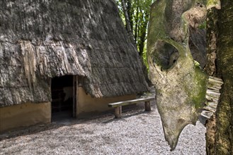 Reconstructed settlement showing Gallic Iron Age house and animal skull at the open-air Archeosite and Museum of Aubechies-Beloeil