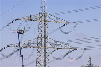 High-voltage pylon with fitters with cherry picker