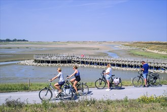Cyclists cycling on International Dike past lookout platform looking over saltmarsh and coastal birds at Zwin nature reserve