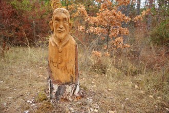 Wood carving on a tree trunk in the forest with inscription Helmut