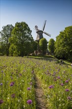 Windmill with colourful flowerbeds
