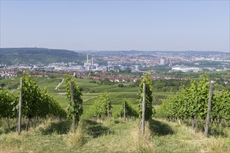 View of the city of Stuttgart with Mercedes-Benz plant Untertuerkheim