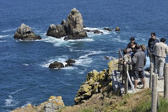 Tourists and birdwatchers looking at sea birds along the rocky coast at Cap de Sizun