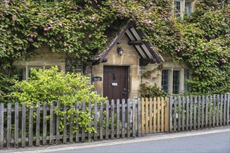 Typical yellow Cotswolds stone house with dense plant growth on the facade