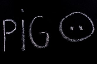 Pig sign drawn on the blackboard with chalk