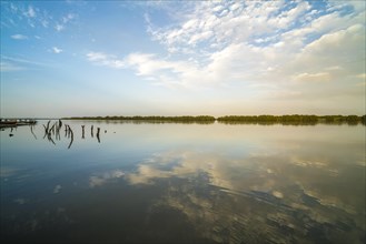 Clouds reflected in a branch of the Gambia River