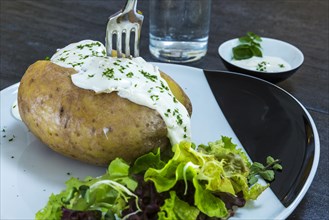 Jacket potato with herb curd