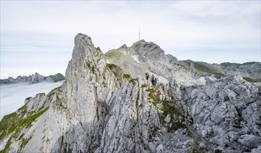 Mountaineer on the Lisengrat