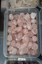 Tumbled Rose Quartz gem stone as mineral rock specimen