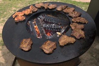 Ready-grilled pork steaks on an iron grill plate