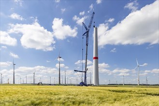 Sintfeld wind farm