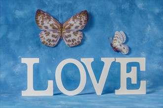 Word love written in white wooden letters with blue background and flying butterflies