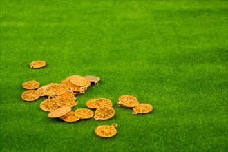 Fake gold coins on placed on green grass