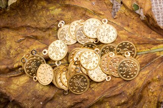 Plenty of fake gold coins are on a dry leaf