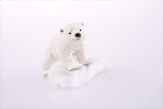 Polar bear on ice on a white background